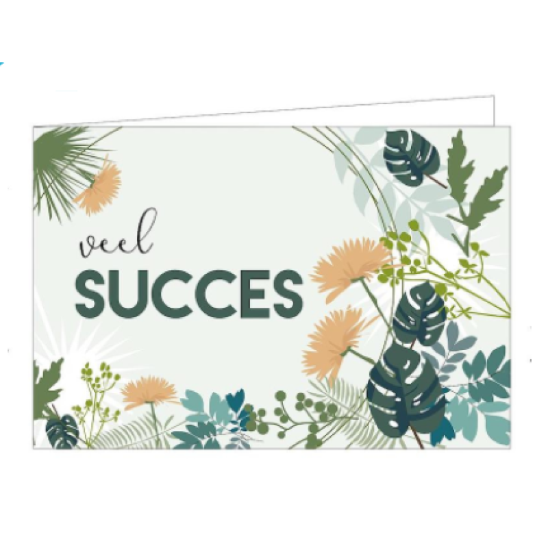 Kaarten | Veel succes